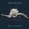 Got a Feeling by Josh Butler cover art