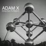 Going Back to Belgium by Adam X cover art