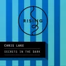 Secrets In The Dark - Radio Edit by Chris Lake cover art