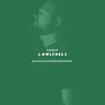 Lowliness (Julian Wassermann Remix) by Julian Wassermann cover art