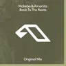 Back To The Roots - Extended Mix cover art