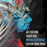 Psychic Experience (Captain Hook remix) by Liquid Soul cover art