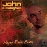Liquid Fire by John O'Callaghan cover art