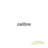 Schlager - Original Mix by Calibre cover art