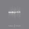 Palisades by Kangding Ray cover art