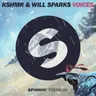 Voices - Extended Mix cover art