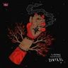 Boom cover art