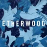 Revive by Etherwood cover art