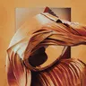 Radical Acceptance by Jonas Saalbach cover art