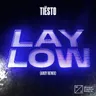 Lay Low (Argy Remix) - Extended Mix by Tiësto cover art