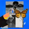 Butterflies cover art