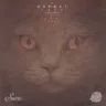 Wall - B.K.R. Remix cover art