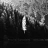 Water - David Hasert & Jannis Klimpel Day Version cover art
