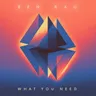 What You Need - Radio Edit cover art