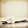 Vanilla - Gai Barone Remix cover art