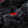 WTF by Julian Wassermann cover art